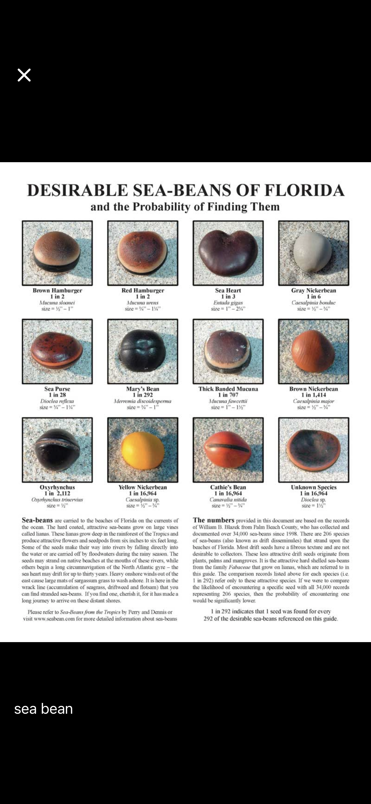 Assorted collage October 2025