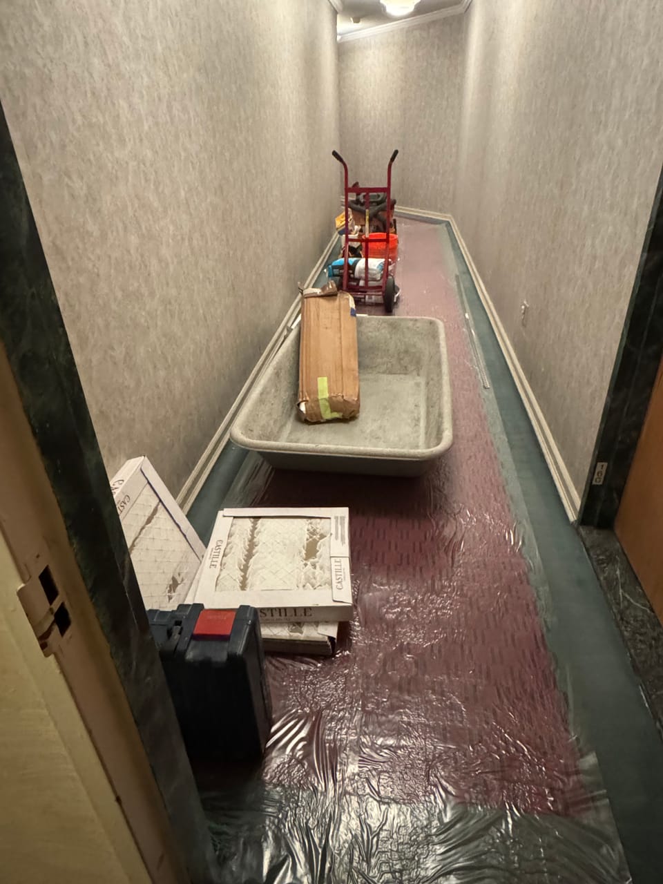 Assorted collage October 2025